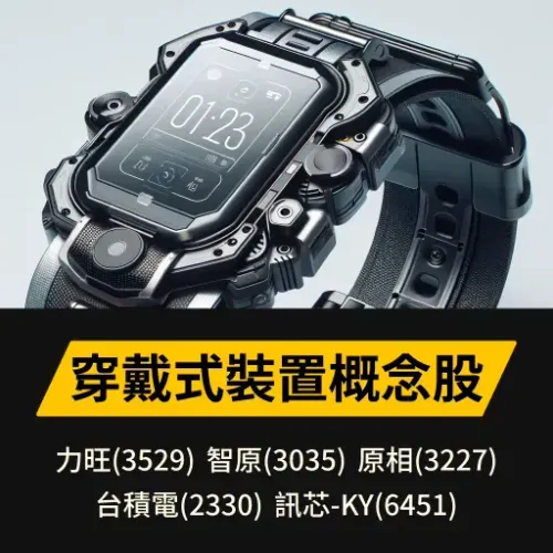 穿戴式裝置概念股