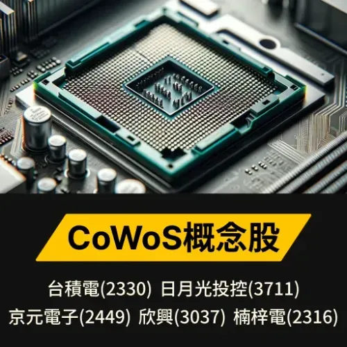 CoWoS概念股