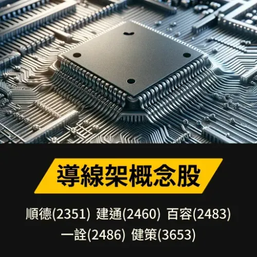 導線架概念股