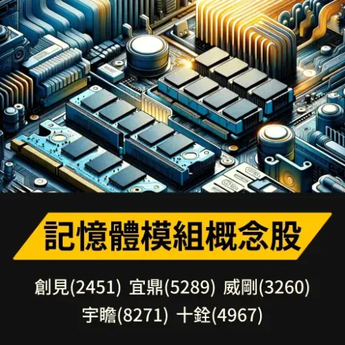 記憶體模組概念股